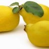Limon Ayvası